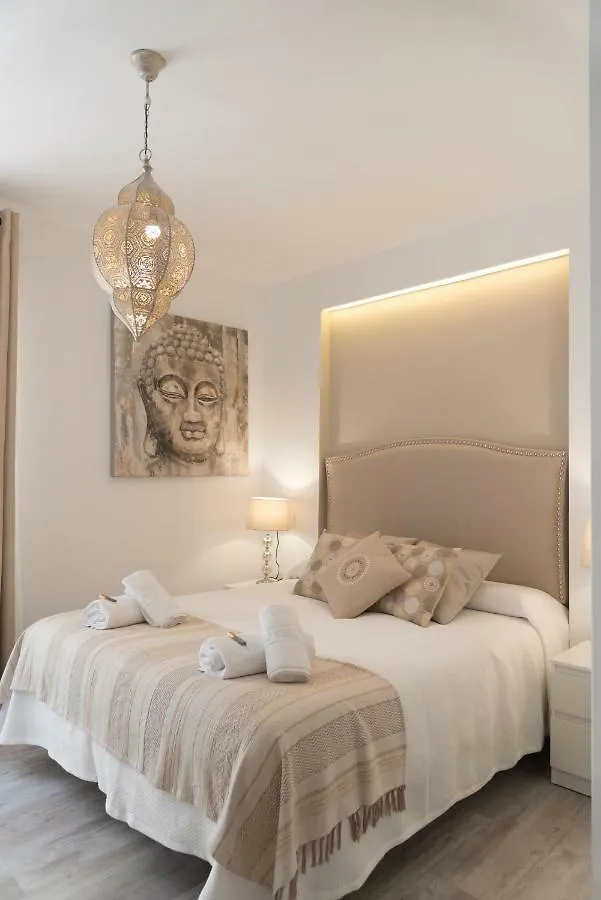 Apartment Cosy Flat - City Center - Parking Free Malaga Spain